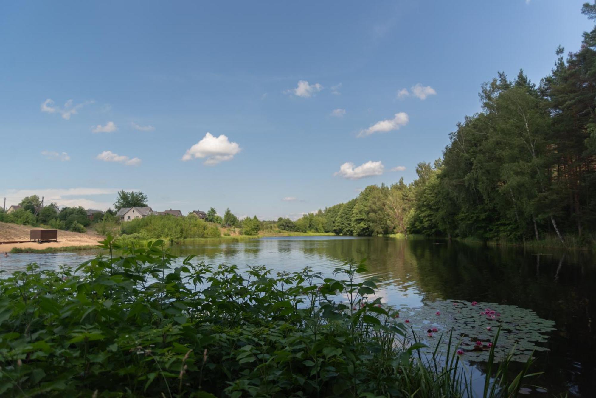 Villa Dvi Liepos Merkine Esterno foto